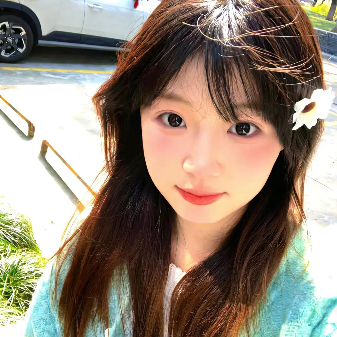 蝴蝶公墓海报