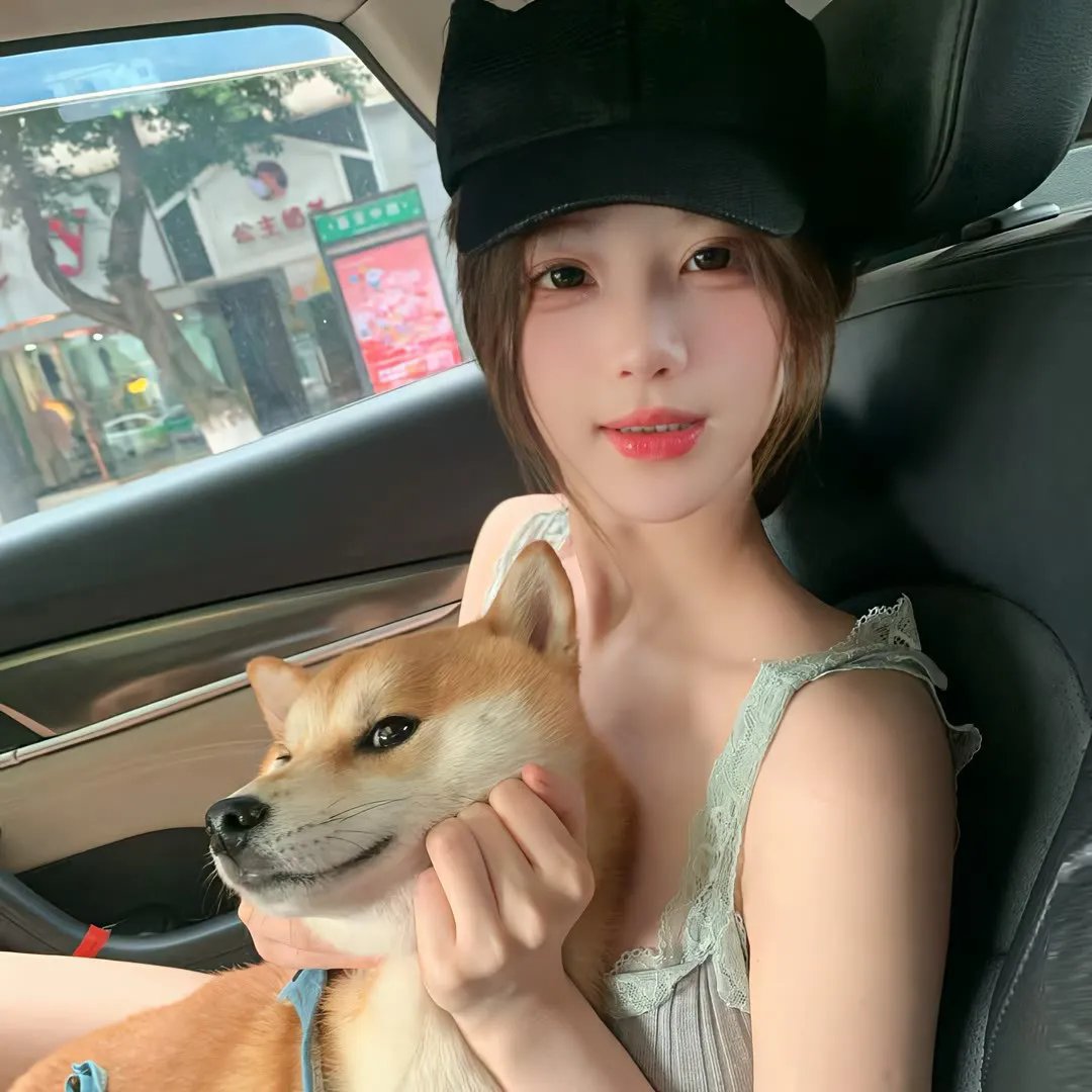 我的法国电影之旅海报